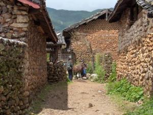 2004-YUNNAN-Ferme_2.jpg