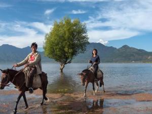 2004-YUNNAN-Li_Wei_a_ch.jpg