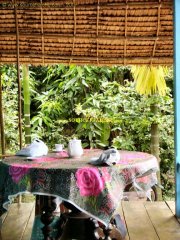 Cu_Lao_Ong_Ho-Chez_TRAN-Terrasse_3.JPG