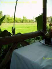 Hoi AnHotel Thien ThanTerrasse
