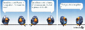 Les oiseaux 1