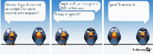 Les oiseaux 10