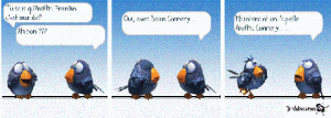 Les oiseaux 9
