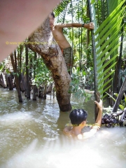 BEN_TRE-Baignade.JPG