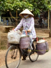 BEN_TRE-Velo.JPG