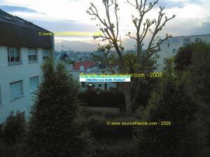 SP_A0042.jpg