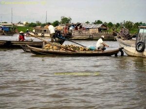 Long_Xuyen-Marche_flottant-Bateau_7.JPG