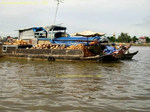 Long_Xuyen-Marche_flottant-Bateau_8.JPG