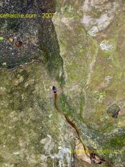 Montagnes_de_Marbre-Serpent_de_roche.JPG