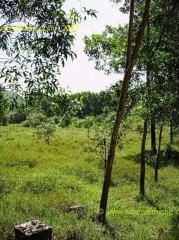 My Son-Nature