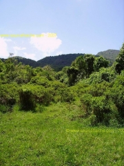 My Son-Nature