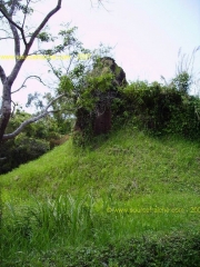 My Son-Ruine Champa