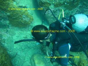 IMG_0156.jpg