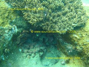 IMG_0159.jpg