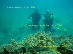 IMG_0162.jpg
