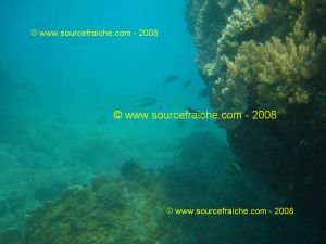IMG_0165.jpg
