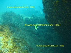 IMG_0166.jpg