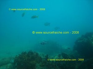 IMG_0167.jpg