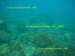 IMG_0169.jpg