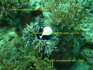 IMG_0175.jpg