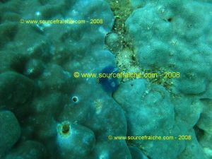 IMG_0176.jpg