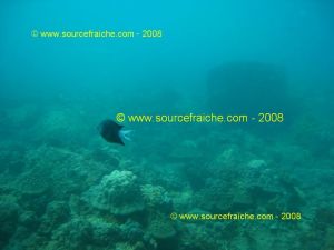 IMG_0183.jpg