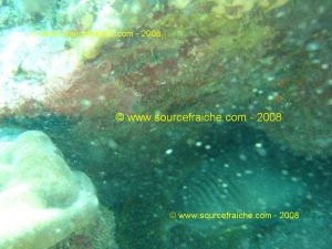 IMG_0188.jpg