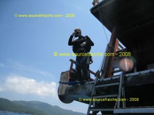 IMG_0194.jpg