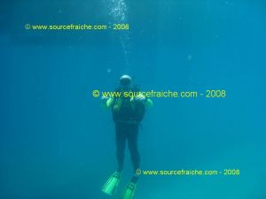 IMG_0196.jpg