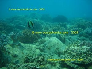 IMG_0207.jpg