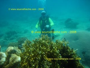 IMG_0231.jpg
