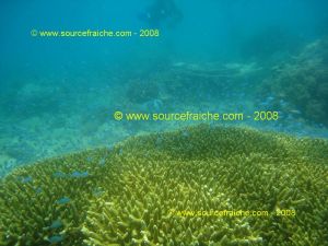 IMG_0245.jpg