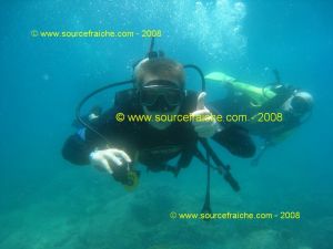 IMG_0246.jpg