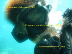 IMG_0249.jpg