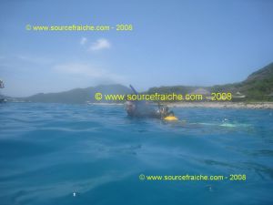 IMG_0252.jpg