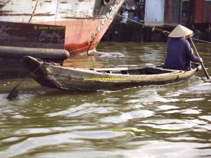 MEKONG-Bateau_a_Rames.JPG