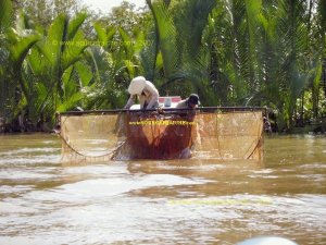 MEKONG-Peche_au_Filet.JPG