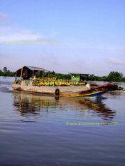 MEKONG-Transport_Noix_Coco.JPG